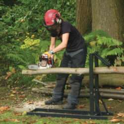 logger1