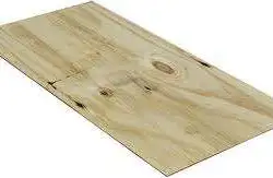 Elliottis Pine