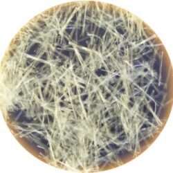 screedfibres