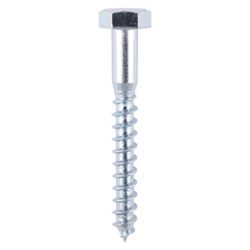 coach screw 10