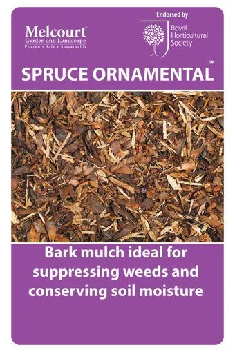 melcourt spruce ornamental 1