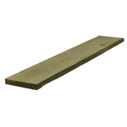 22x100mm treated 17