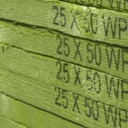 jb green 29