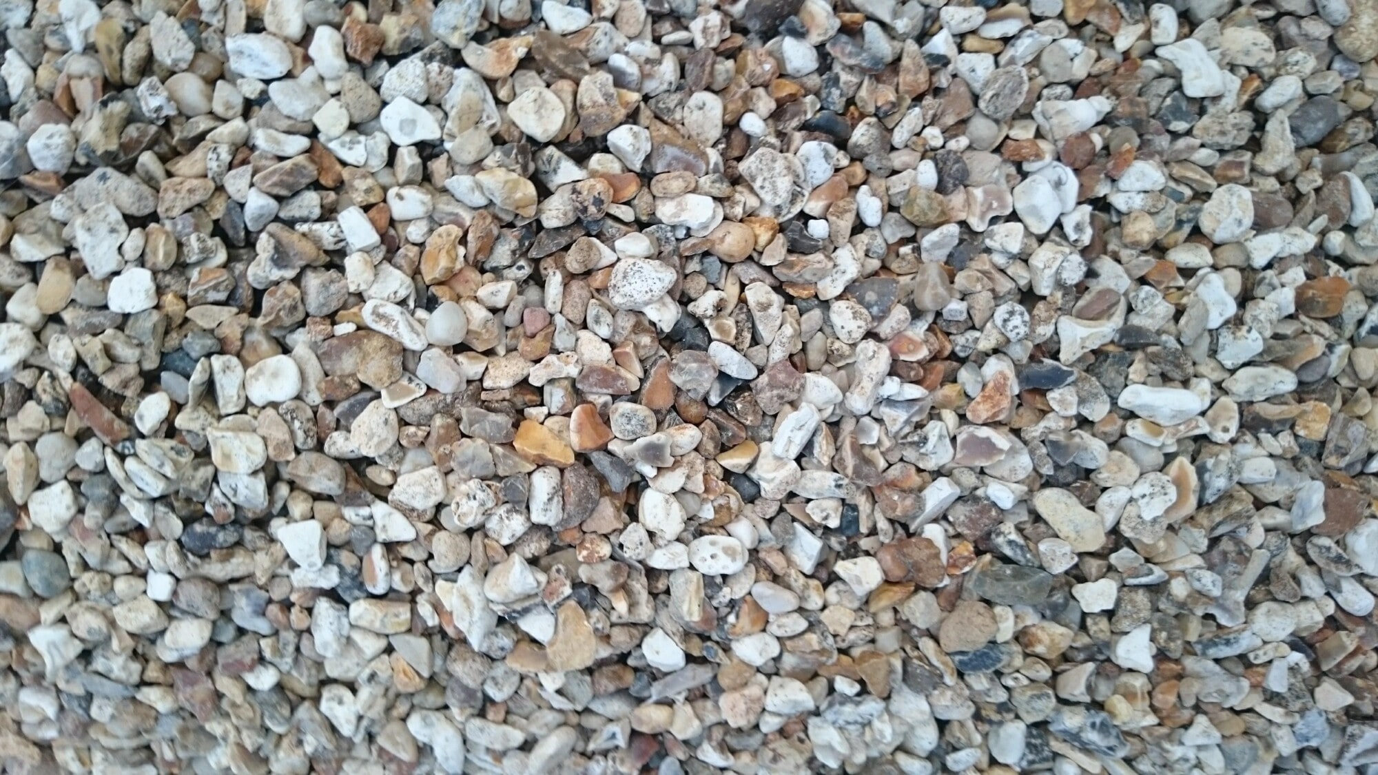 DSC 0065