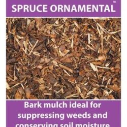 melcourt spruce ornamental 4